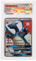 ACE 10 Charizard GX SV49 Hidden Fates